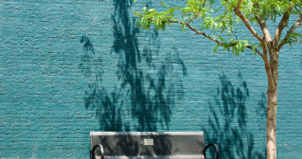 Explorer le bonheur dans la simplicité quotidienne