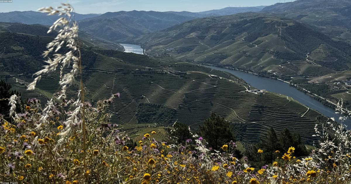 Digital detox: Se déconnecter pour mieux vivre