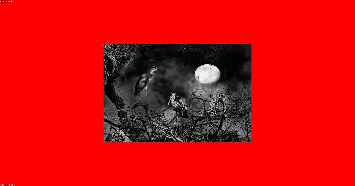 Espace de travail minimaliste: Productivité zen