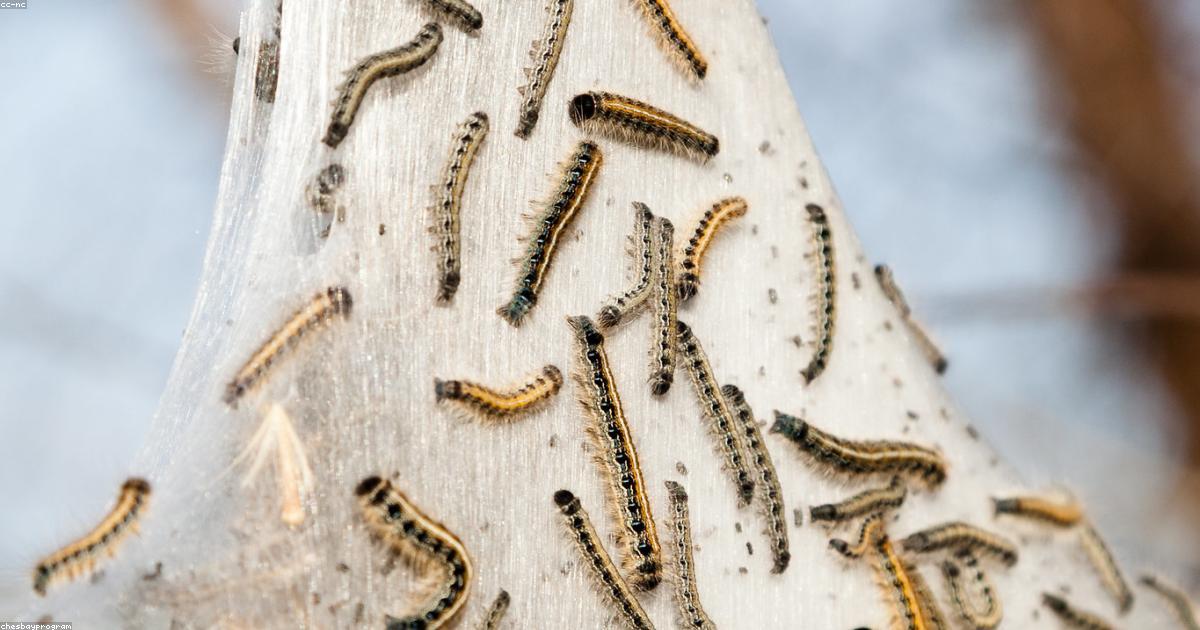 Transformer son quotidien par le désencombrement