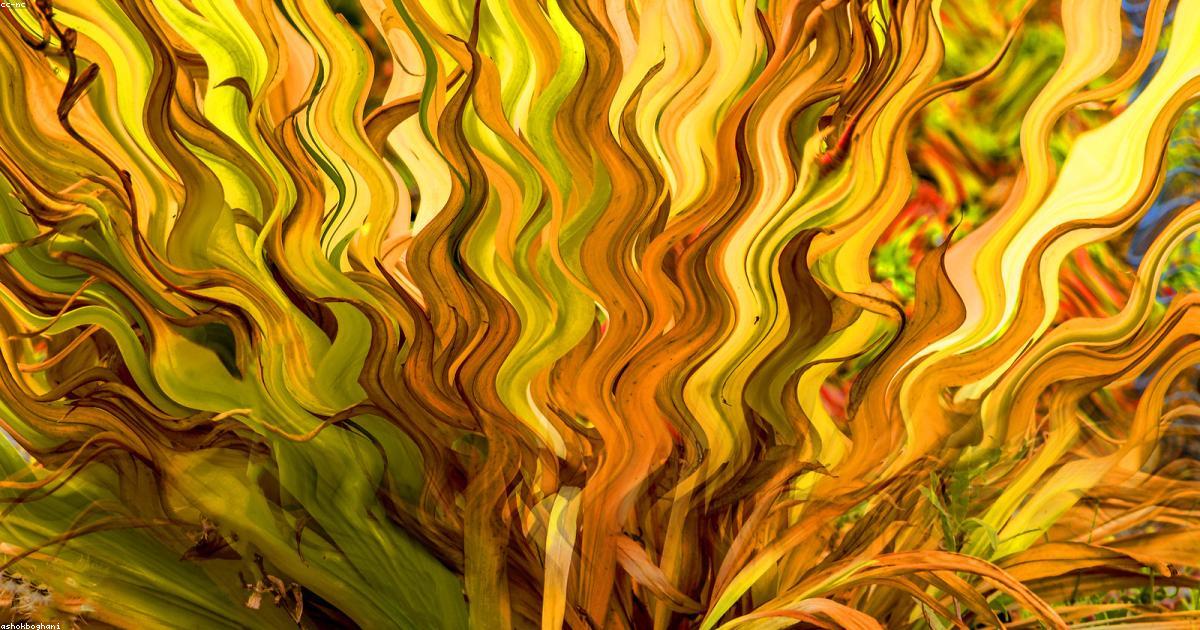 S’épanouir dans un monde complexe grâce à la simplicité