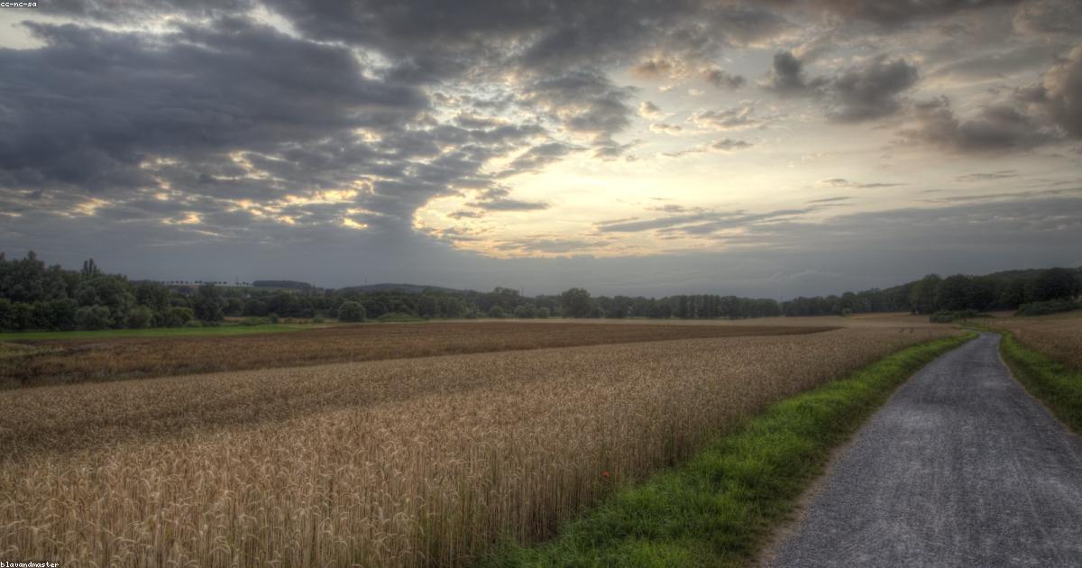 La beauté de l’ordinaire dans un monde simplifié
