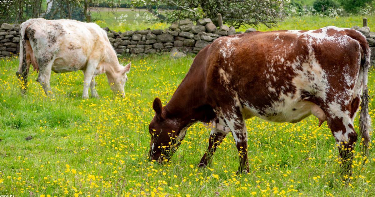 Un espace de vie épuré pour un esprit apaisé