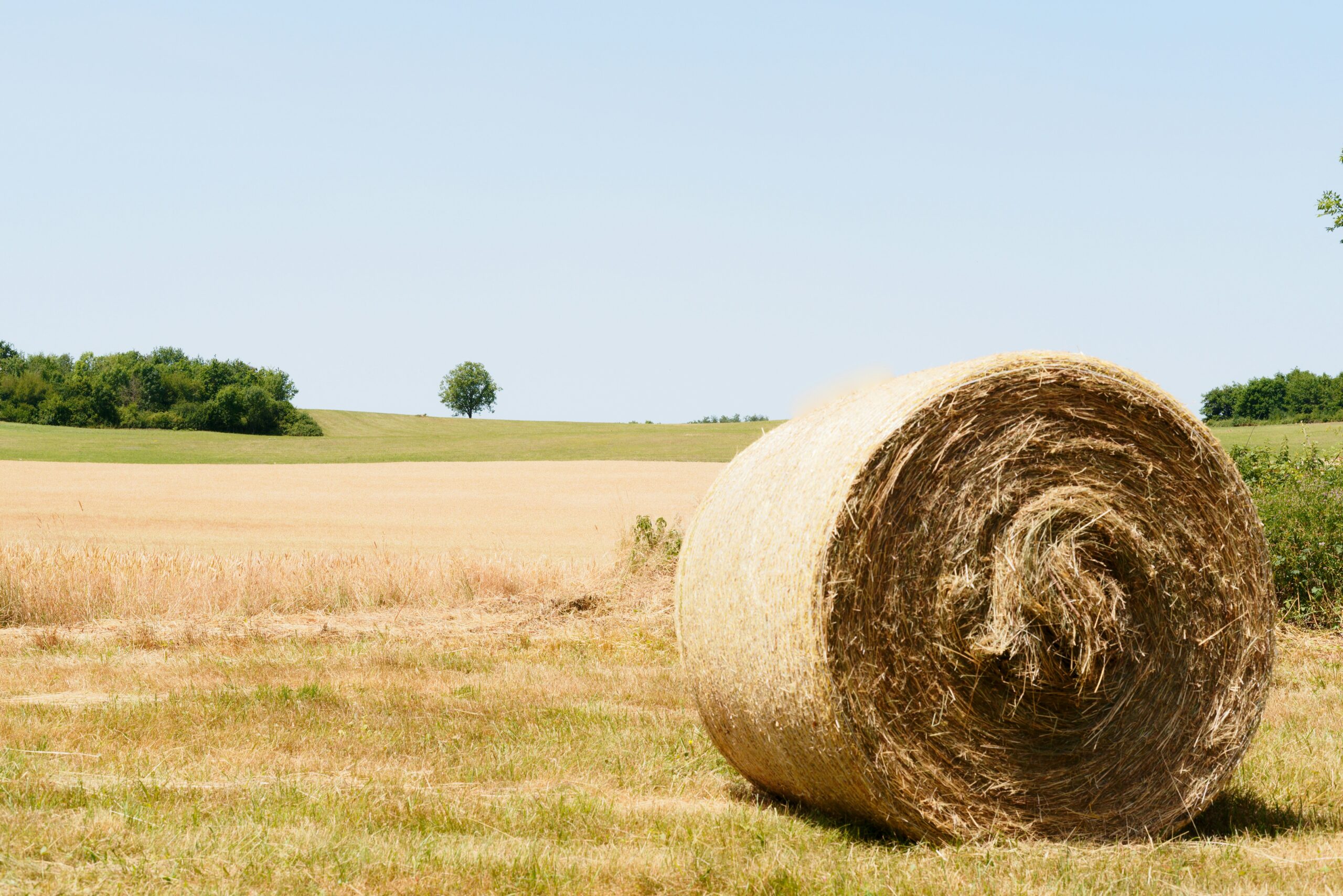 Cultiver la gratitude dans un monde minimaliste