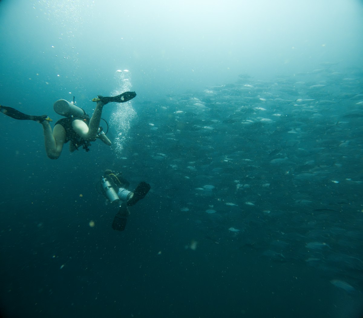 Les Mystères de l&rsquo;Océan Profond : 5 Phénomènes que la Science Ne Peut Toujours Pas Expliquer