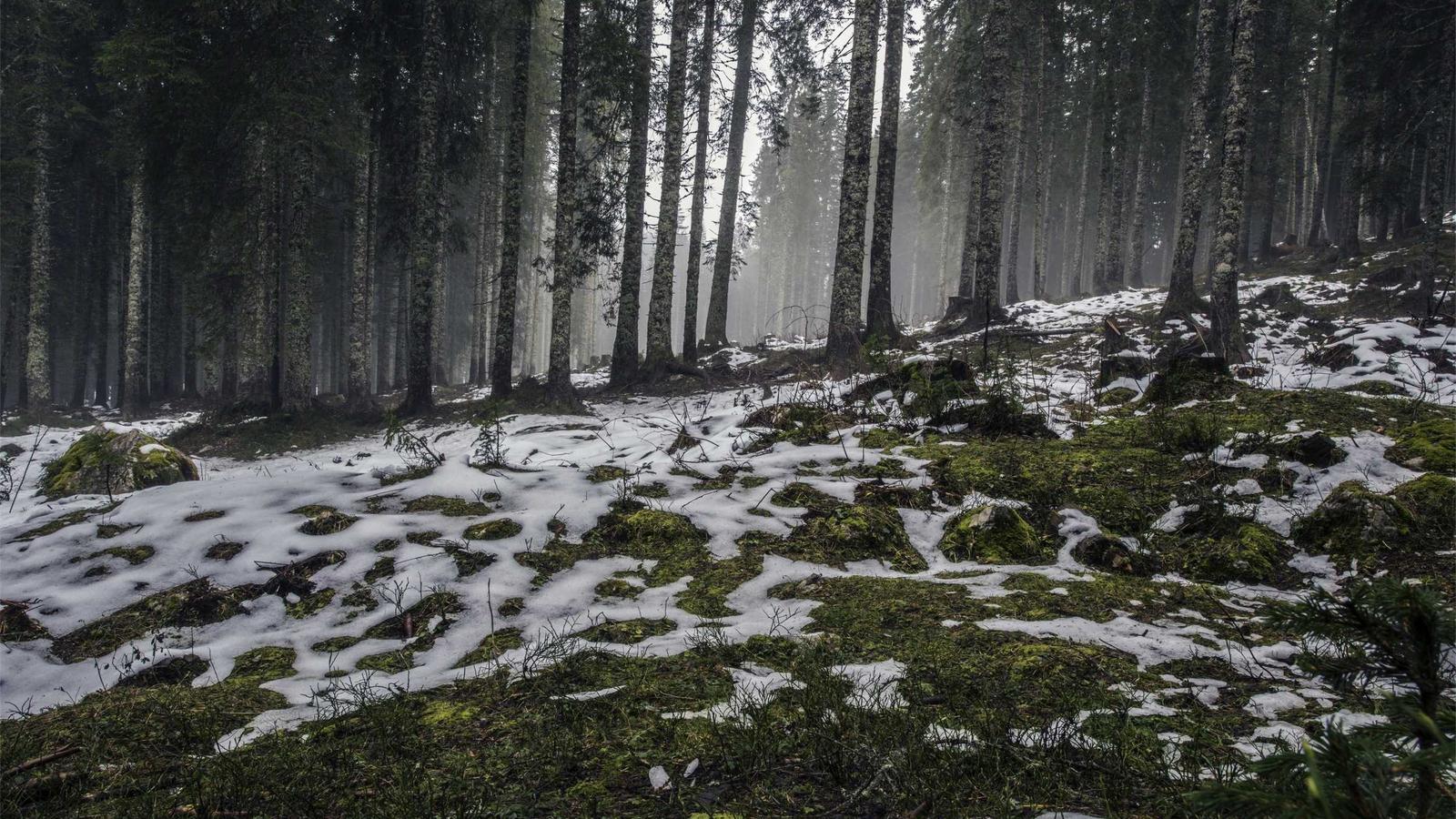 Aerial view of the Newgrange passage tomb in Ireland showing the circular green mound surrounded by a ring of standing kerb stones and the Boyne Valley landscape with hedgerows in the surrounding fields.