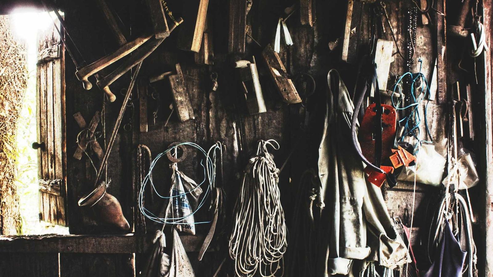 A search and rescue vessel cutting through deep blue Pacific ocean swell at dawn with the empty horizon stretching to the curve of the earth and a single white seabird visible above the wake.