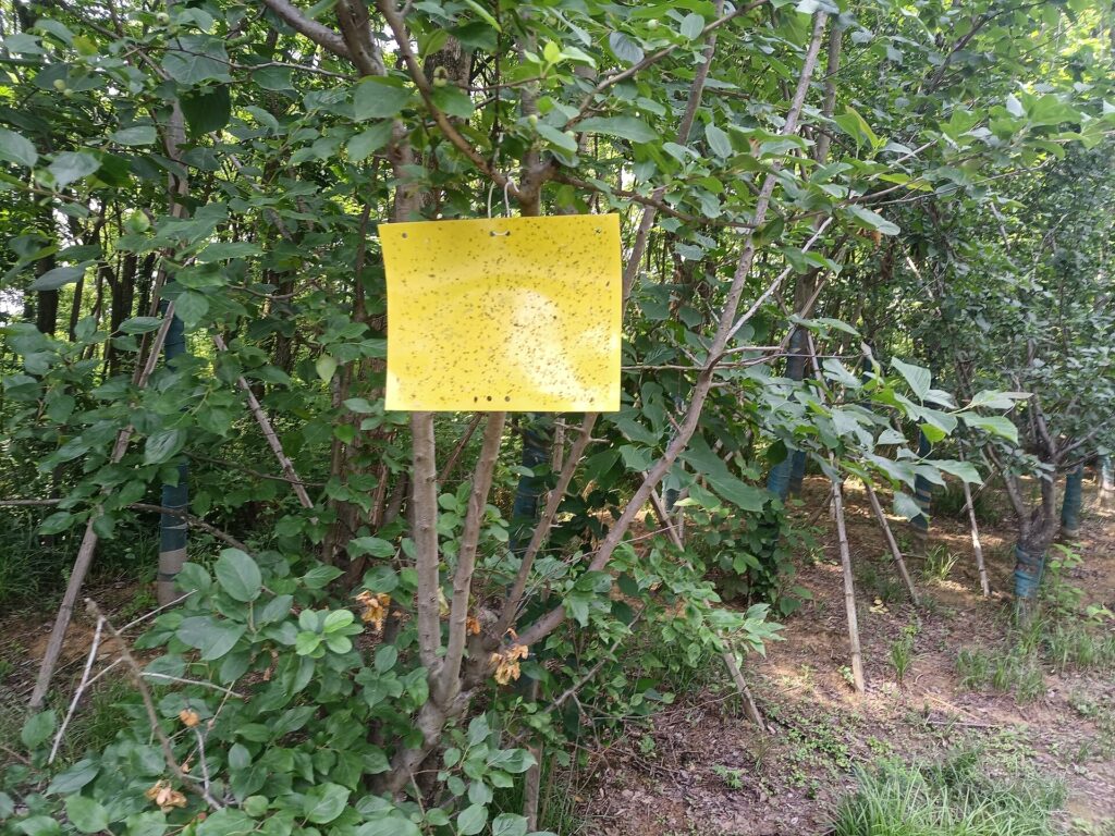 Petit papier jaune collé au bord d'un meuble avec une phrase écrite à la main