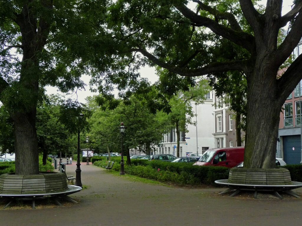 Banc de bois vide au bord d'une allée dans un petit square urbain désert